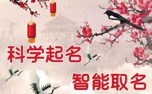 效果图起名(服装效果图起名) (2)