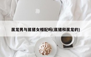 属龙男与属猪女相配吗(属猪和属龙的)