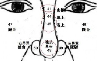 男人五官看相算命图解