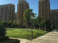 洲泉算命在哪里(北京算命最准的地方在哪里)